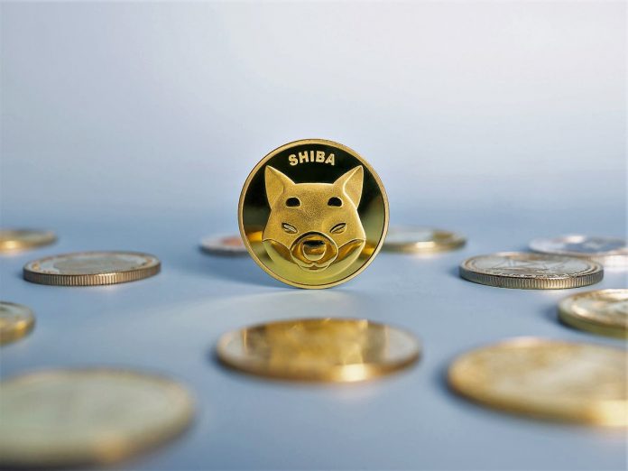 What is Shiba Inu coin? ‘Dogecoin killer’ outshines crypto competitors with 750,000% cost gains
