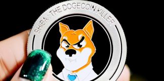 By The Numbers: What $1000 In SHIB Deserves Now