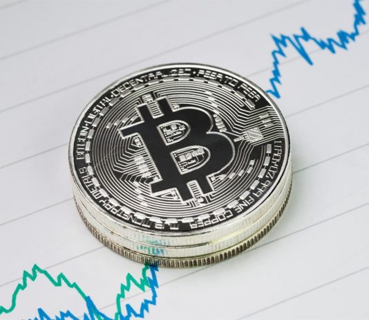 Bitcoin rate news– live: Bitcoin, ethereum and cardano slip, Dogecoin and Shiba inu increase