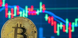 Bitcoin cost news– live: Ethereum and Solana push crypto market to all-time high as BTC increases