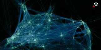 The World’s First Decentralized Online search engine for Web3 to Be Gone For the Blockchain Conference in Lisbon The World’s First Decentralized Online search engine for Web3 to Be Gone For the Blockchain Conference in Lisbon