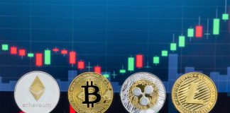 Bitcoin rate news– live: Crypto competitors follow BTC in striking brand-new all-time highs Bitcoin rate news– live: Crypto competitors follow BTC in striking brand-new all-time highs