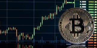 Institutional Bitcoin Open Interest Plummets, However Why?