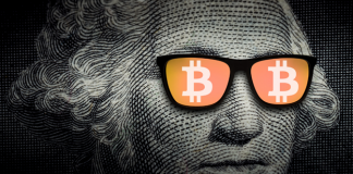 Bitcoin Maximalism– Crypto Survivors and OG’s Might Make a Case to Vary Bitcoin Maximalism– Crypto Survivors and OG’s Might Make a Case to Vary