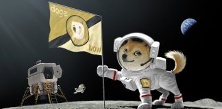 SpaceX Dogecoin-Funded DOGE-1 Objective Set To Introduce In Q1 2022