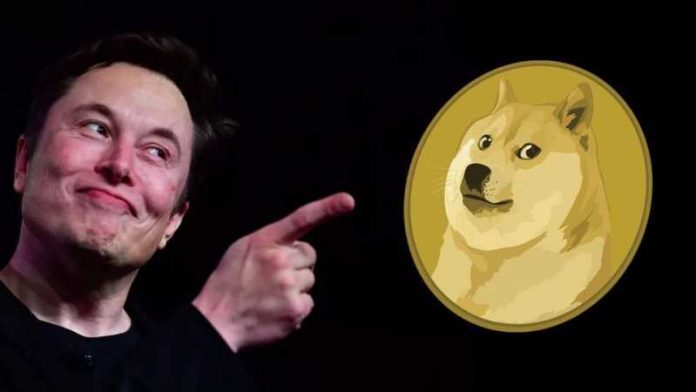 Elon Musk Sells Tesla Shares For $5B. Will He Purchase Dogecoin?