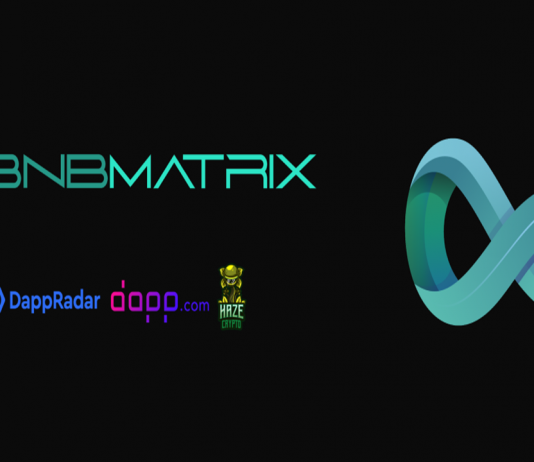 BNBMatrix: Daily ROI based Binance Smart Chain Dapp with Returns Upto 234%