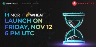 Development Community, King Of Cross-Chain Decentralized Farming Reveals Introduce On Avalanche