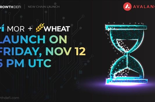 Development Community, King Of Cross-Chain Decentralized Farming Reveals Introduce On Avalanche