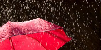 Preview Of The Peak: November Rains Red For Bitcoin Holders