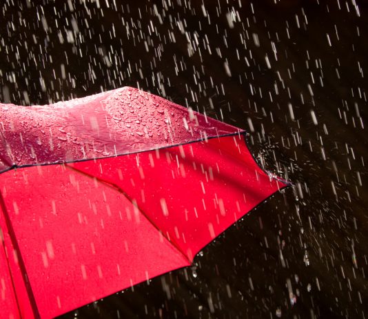 Preview Of The Peak: November Rains Red For Bitcoin Holders