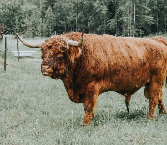 Bitcoin MVRV Reveals Leading Isn’t In Yet, BTC Still Has Space To Grow