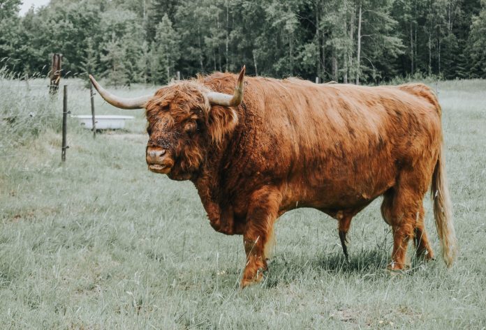 Bitcoin MVRV Reveals Leading Isn’t In Yet, BTC Still Has Space To Grow