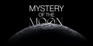 Arrive on Moon– Construct Your NFT Empire Arrive on Moon– Construct Your NFT Empire