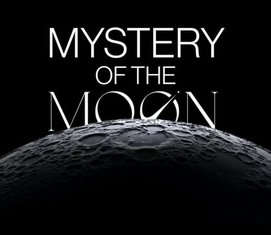 Arrive on Moon– Construct Your NFT Empire
