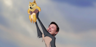 Meme Coins: New Buzz in The Crypto Market Meme Coins: New Buzz in The Crypto Market