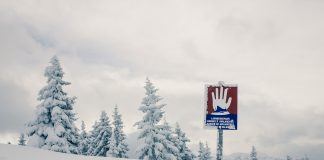 How Avalanche Has Actually Climbed It’s Method Towards The Leading