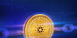 Cardano Boosts Block Size By 12.5%, What This Implies