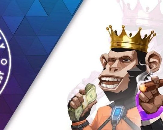 Raise your gamified NFT experience with Mooning Monkey!