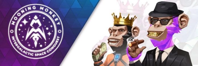 Raise your gamified NFT experience with Mooning Monkey!