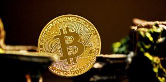 Twin Peaks: Comparing The 2 2021 Bitcoin Tops Twin Peaks: Comparing The 2 2021 Bitcoin Tops