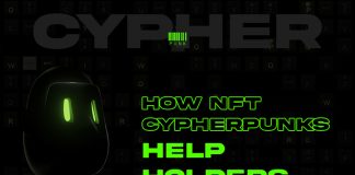 How NFT Cypherpunks Assist Holders Get Richer
