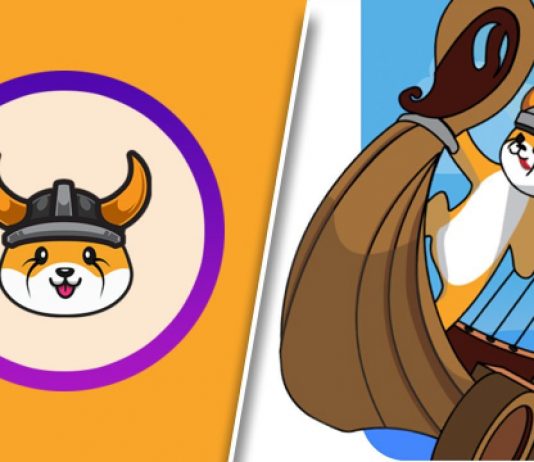 Floki Inu To Include Its Logo Design On S.S.C. Napoli’s Match Arena And Jersey