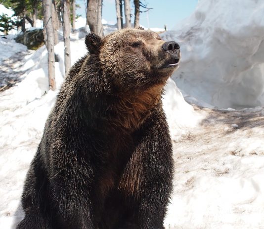 Bitcoin Bearish Signal: Exchange Reserves Program Sharp Boost