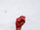 EOS Neighborhood Revolts Versus Brock Pierce’s Block.One, Will not Pay 67 M EOS EOS Neighborhood Revolts Versus Brock Pierce’s Block.One, Will not Pay 67 M EOS