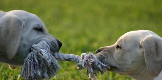 Metaverse versus GameFi: A New Blockchain War? Metaverse versus GameFi: A New Blockchain War?