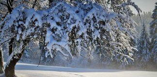 Safe Cryptos To Purchase Throughout a Crypto Winter Season Safe Cryptos To Purchase Throughout a Crypto Winter Season
