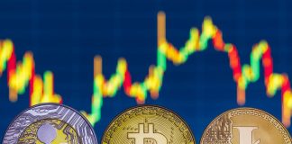 Bitcoin news– live: Dogecoin cost rises as Elon Musk states Tesla will accept meme coin