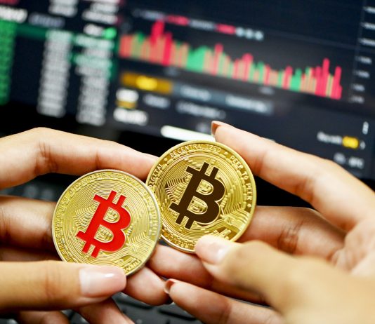 Bitcoin NUPL States Market Stands At Secret Junction In Between Bull And Bear Trends