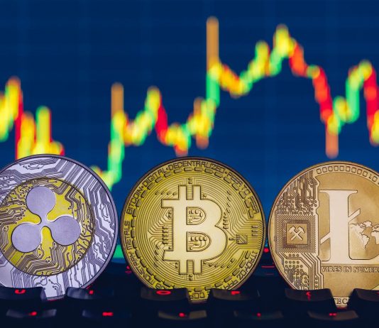 Bitcoin cost news– live: Dogecoin rises after Elon Musk’s Tesla upgrade as crypto market awaits limbo