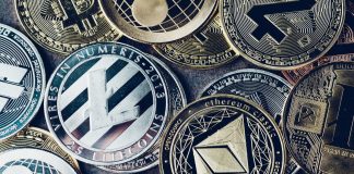 Crypto specialists anticipate which bitcoin competitors to keep an eye out for in 2022