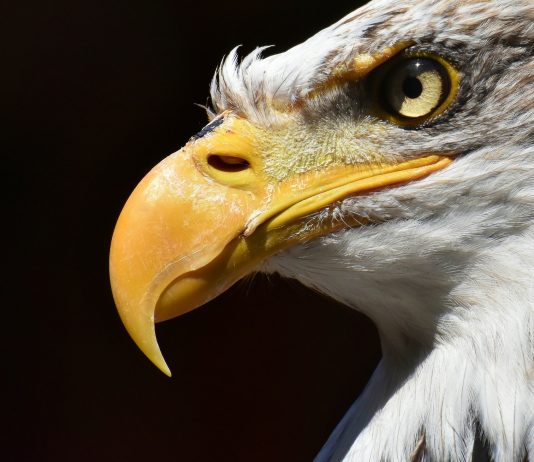 Ripple Had Its Strongest Year Ever In spite of The Sec’s “Attack On Crypto”