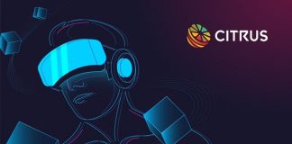 Video gaming will be the Entrance to Crypto Mass Adoption
