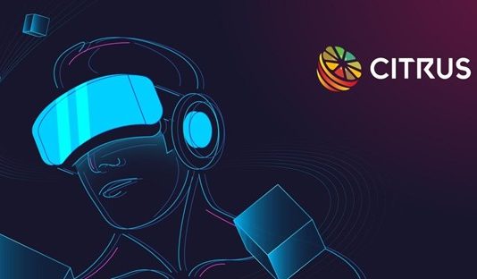 Video gaming will be the Entrance to Crypto Mass Adoption