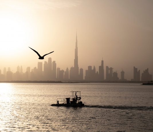 UAE Authorities Announce New Stringent Procedures Versus Crypto Scammers