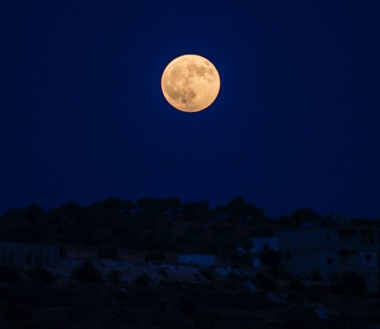 Terra’s UST Becomes First Decentralized Stablecoin To Go Beyond $10 B Market Cap