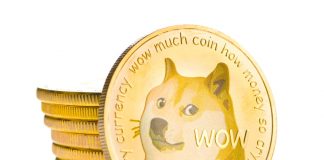 DOGE Plunges 9% As Developer Exposes Just How Much He Keeps In This Cryptocurrency