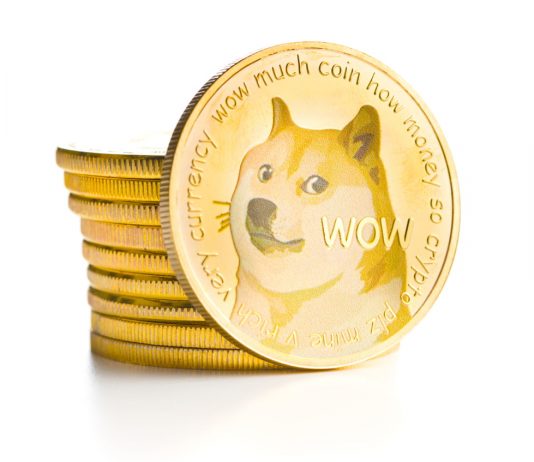 DOGE Plunges 9% As Developer Exposes Just How Much He Keeps In This Cryptocurrency