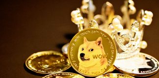 Summarizing 2021 Memecoin Mania: Dogecoin, Shiba Inu, & & More