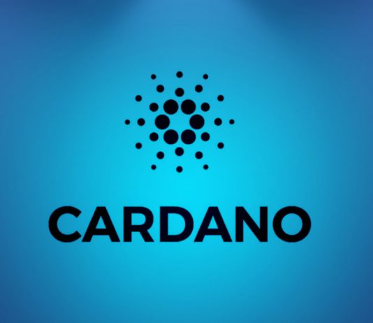 Why 2022 Might Be The Very Best Year For Cardano, Top Bullish Forecasts