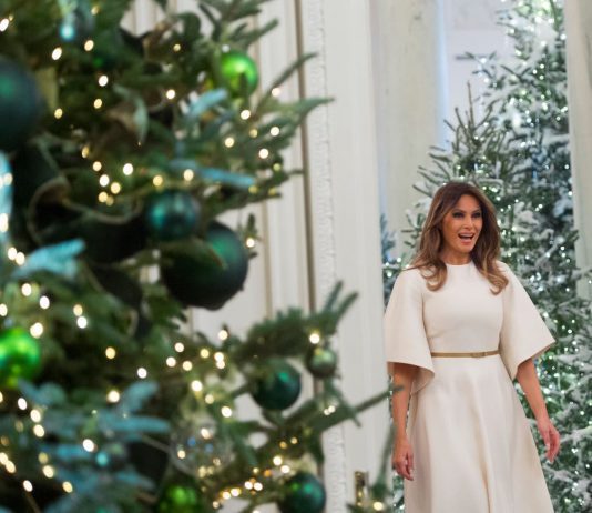 Melania Trump is now increasing Bitcoin after formerly releasing NFT platform