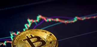 Bitcoin rate news– Live: Melania Trump commemorates BTC anniversary