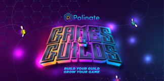 Player’s Zone: Polinate Games & & Guilds to Assistance Enthusiastic Tasks to Raise Funds