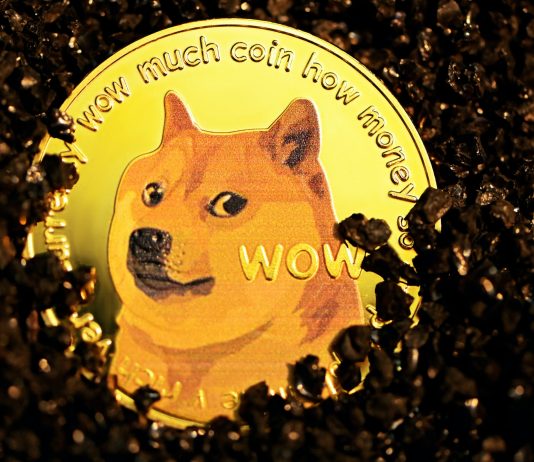 Leading Canine Or A Meme Joke: Shiba Inu Drops 5% As Whales Purchase More