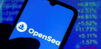 OpenSea Deal Volume Reveals That NFTs Are Not Slowing, Here Are Some Projects To Think About