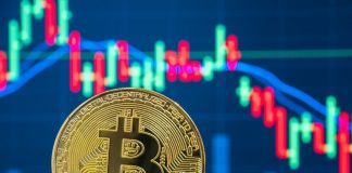 Bitcoin cost news – live: BTC flash crash leaves crypto in dangerous position